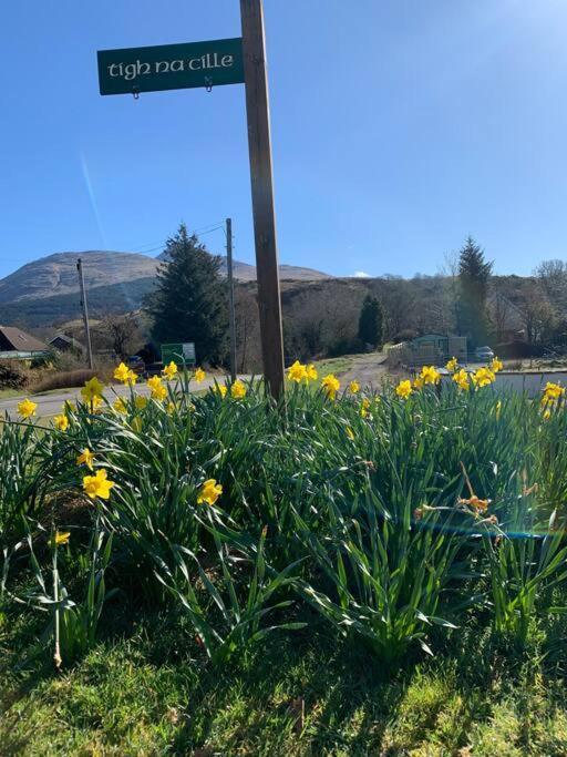Tigh Na Cille Studio, Taynuilt Buitenkant foto