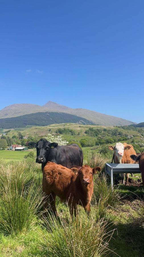 Tigh Na Cille Studio, Taynuilt Buitenkant foto